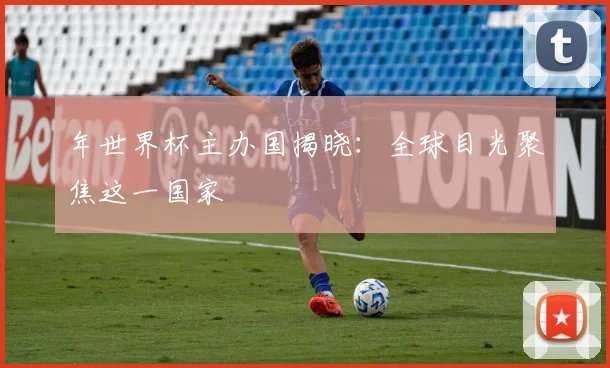 年世界杯主办国揭晓:全球目光聚焦这一国家
